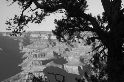 grandcanyon01